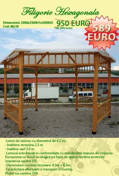 FILIGORIE HEXAGONALA, FOISOR